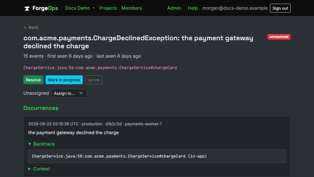 A Java issue's detail page, showing its fully-qualified exception class and backtrace